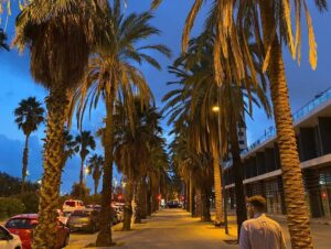 Hola Barcelona! What a lovely night. Palm trees, good Catalan wine, so much beautiful seafood, and the best steak we’ve had in a year!🍷🦐🦞🥩