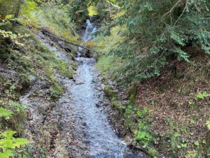 After the hike, it was time to climb alllll the way up to Neuschwanstein. We had a quick lunch and then started up the hill to get there in time for our English tour. (Pre-Covid they’d take groups of 60, but ours was only 6!) I do like Ludwig’s style… ❤️🏔🏰🍂