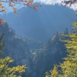 After the hike, it was time to climb alllll the way up to Neuschwanstein. We had a quick lunch and then started up the hill to get there in time for our English tour. (Pre-Covid they’d take groups of 60, but ours was only 6!) I do like Ludwig’s style… ❤️🏔🏰🍂