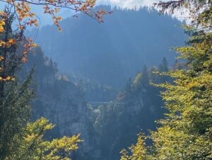 After the hike, it was time to climb alllll the way up to Neuschwanstein. We had a quick lunch and then started up the hill to get there in time for our English tour. (Pre-Covid they’d take groups of 60, but ours was only 6!) I do like Ludwig’s style… ❤️🏔🏰🍂