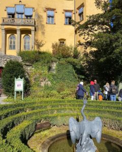 “It is a beautiful day in the castle, and you are a horrible swan.” 😂🦢🏰