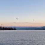 Zürich at dusk is very, very pretty. 🏔🌅