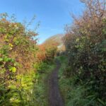 A bracing walk in Wales to start the day before I host a session for #AWSCultureathon 2021 - #AWSCultureChamp and #AWSStartUps jointly present the first-ever global marathon event. Learn more: http://bit.ly/AWSCultureathon2021 and see you in 20min on Clubhouse!