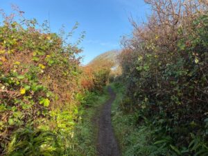 A bracing walk in Wales to start the day before I host a session for #AWSCultureathon 2021 - #AWSCultureChamp and #AWSStartUps jointly present the first-ever global marathon event. Learn more: http://bit.ly/AWSCultureathon2021 and see you in 20min on Clubhouse!