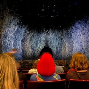 We’ve been waiting over a year for this! I remember reading about the National Theatre production of @neilhimself’s novel and being sad that I was unlikely to ever see it. Can’t quite believe we’re actually here! ❤️