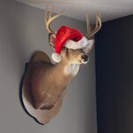Christmas in Indiana… 🦌🎅