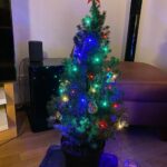 I’m happy to report that we managed to keep my little Christmas tree alive for a whole year! (…if you ignore the giant brown spot on the back where he got a bit burnt this summer)🎄