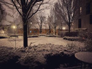 Finally feels like winter… ❄️