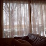 Watching the snow fall, curled up on the couch with a cocoa. Sometimes winter is all right… ❄️