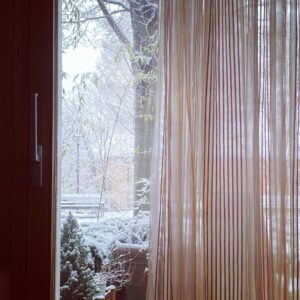 So much for the Spring flowers. 😢❄️