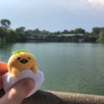 River Safari + Night Safari = pandas and manatees and boat rides and monkeys and fruit bats and hyenas and more... @ River Safari