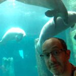 River Safari + Night Safari = pandas and manatees and boat rides and monkeys and fruit bats and hyenas and more... @ River Safari