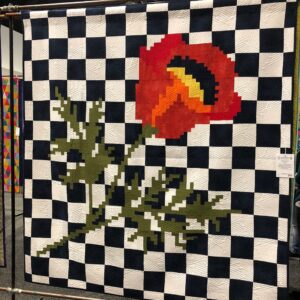 I also loved some of the modern designs, and COLOUR! @ Sydney Craft and Quilting Fair