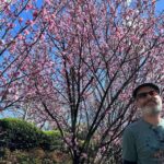 Did you know Sydney has a cherry blossom festival? We went out to the @auburnbotanicgardens today to see the blossoms, eat chicken katsu sandos from @kenchancurry.au, and watch @hellokitty sing karaoke. 🌸🎋🇯🇵🇦🇺 #cherryblossomfestival