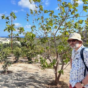 A food tour of Crete! We visited the Cretan Dragon olive grove and dragonfruit farm, where we learned about Cretan agriculture and tasted some produce. Then we went to @titakiswines, where Andrea led us on a tour of the vineyard and a tasting of wine and raki. We finished with a lovely lunch. Perfect day! 🍷🫒🥗☀️