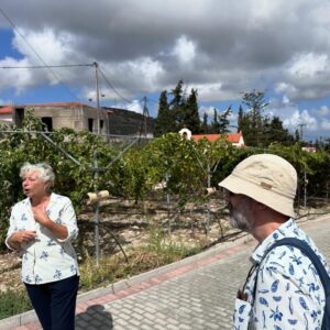 A food tour of Crete! We visited the Cretan Dragon olive grove and dragonfruit farm, where we learned about Cretan agriculture and tasted some produce. Then we went to @titakiswines, where Andrea led us on a tour of the vineyard and a tasting of wine and raki. We finished with a lovely lunch. Perfect day! 🍷🫒🥗☀️