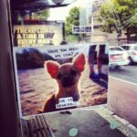 Spotted on Broadway tonight. #hipsters http://instagr.am/p/HGWw8zRJK9/