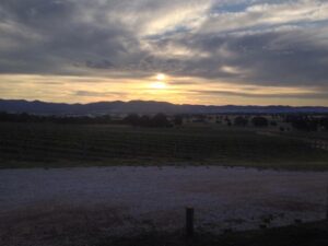Sunset over the vineyard. #mudgeesmuggler