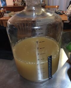 New adventures in fermentation. (It's going to be mead, he tells me.)