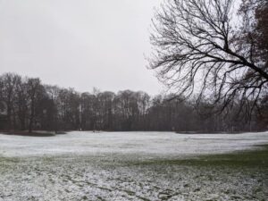 The Snook went for a walk. “Bavariapark giving off a very Dark is Rising vibe today. Snow, crows, the stag statue. Luckily I didn't come out and find the house replaced by Wayland Smith's forge.” ❄️🦌