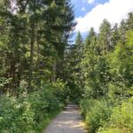 My longest ride to date! 37km/23mi through parks and forests and farmland and meadows. ❤️🚴‍♀️ Munich is so beautiful…