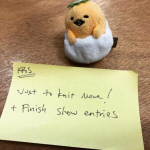 Every year at @knittersguildnsw we review our knitting resolutions from January. Gudetama knows I didn’t achieve either of mine. 😬