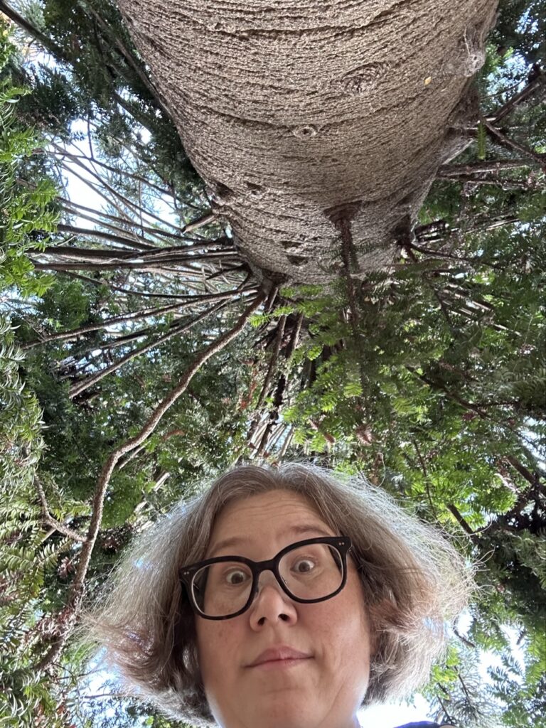 Me with a Bunya pine