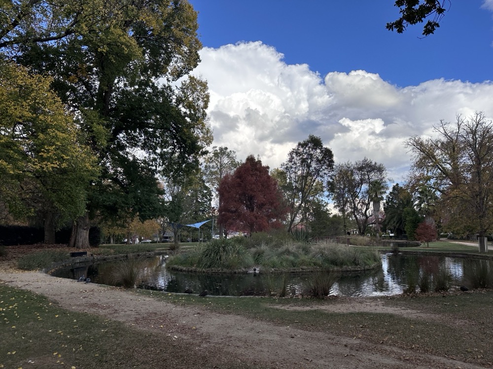 Duck pond in Cook Park, Orange, NSW