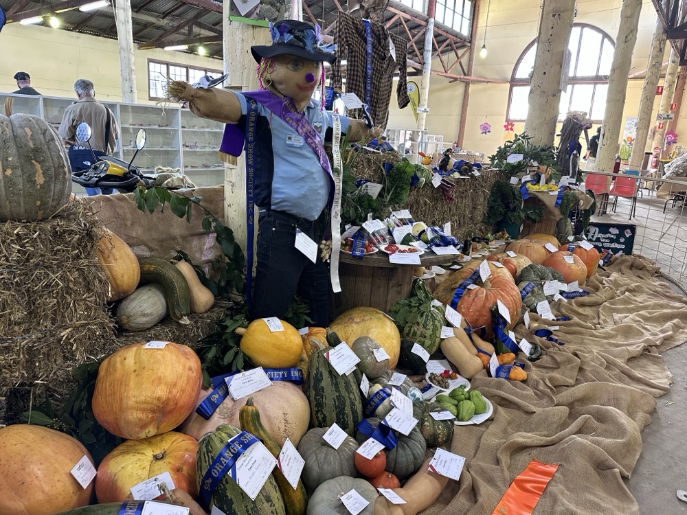 Prize-winning gourds and scarecrows