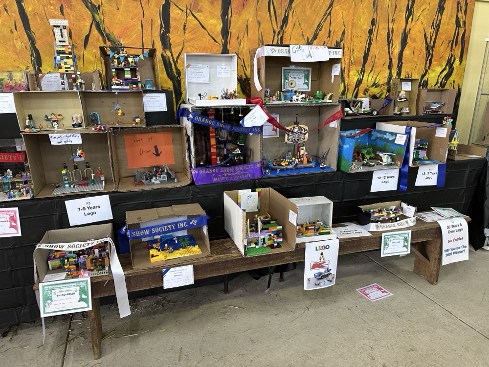 Lego exhibits at a regional show