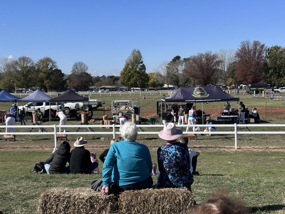 Woodchopping at a country show