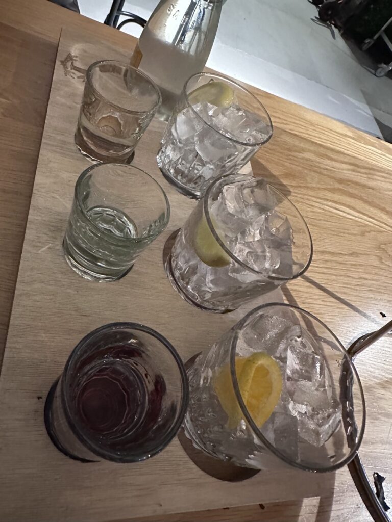 Gin tasting