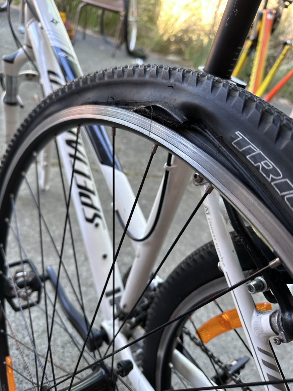 A bicycle tire with the tire bead completely blown out and shredded